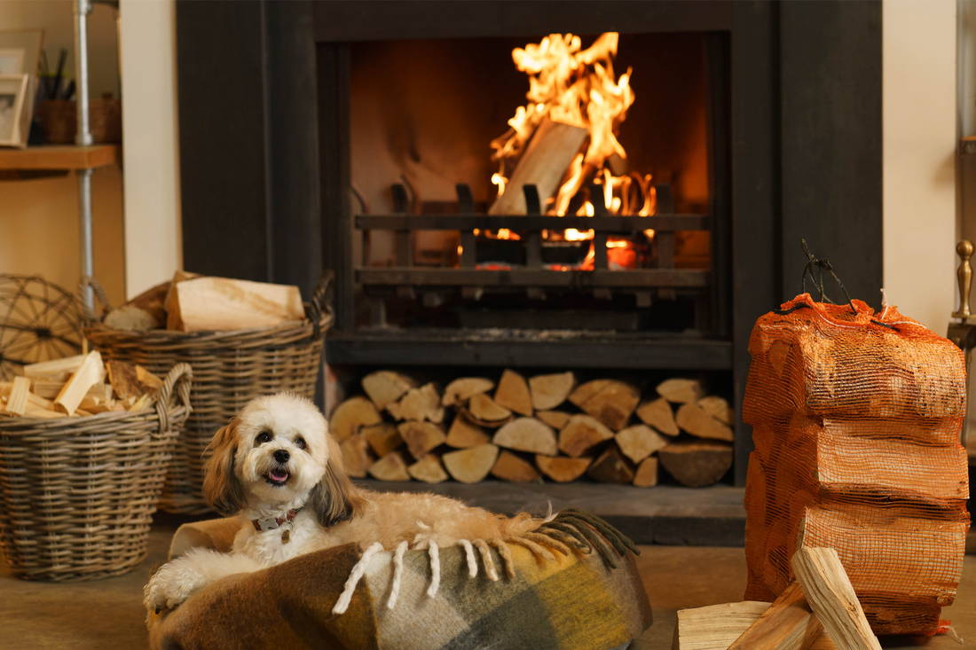 What are the benefits of burning Firewood and Coal together