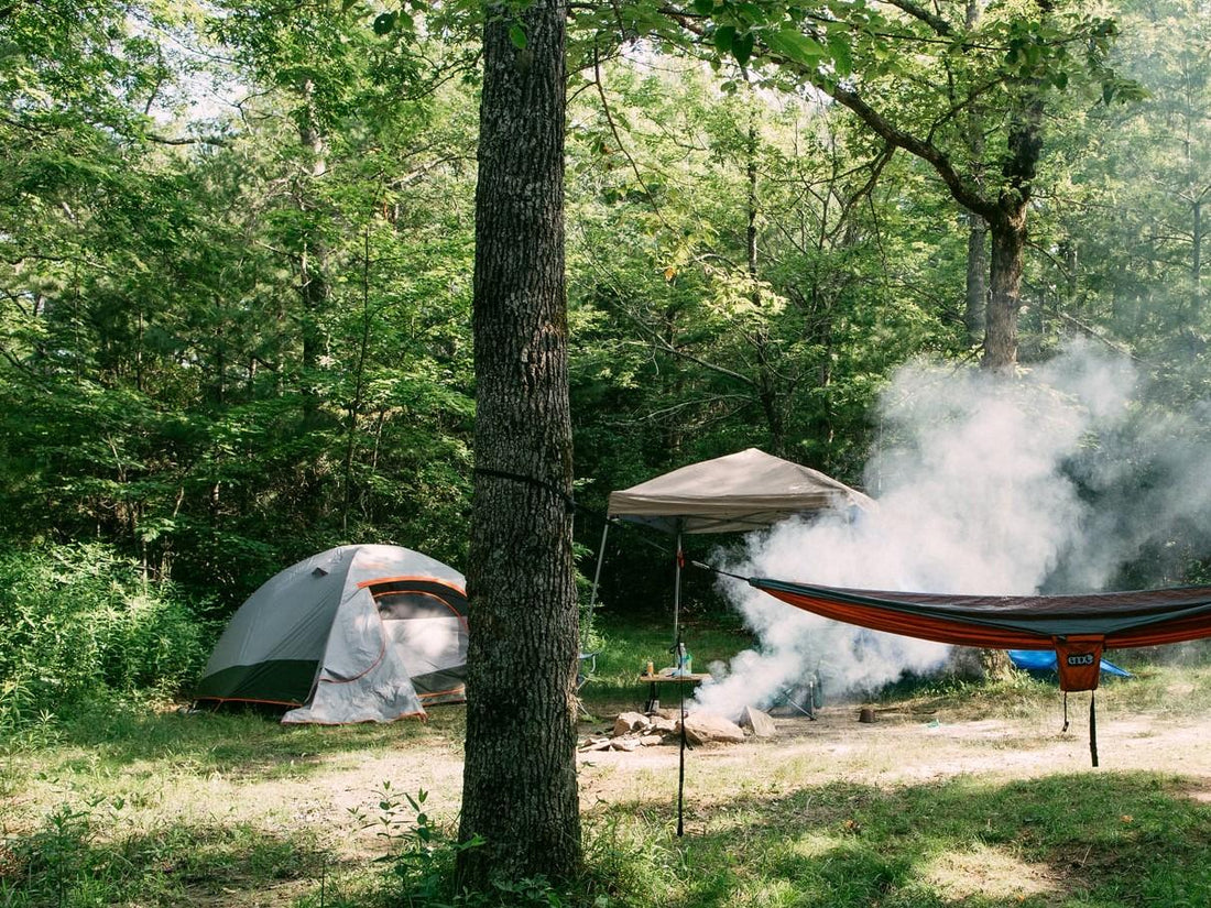 Why a Forest Getaway is the Perfect Long Weekend Holiday