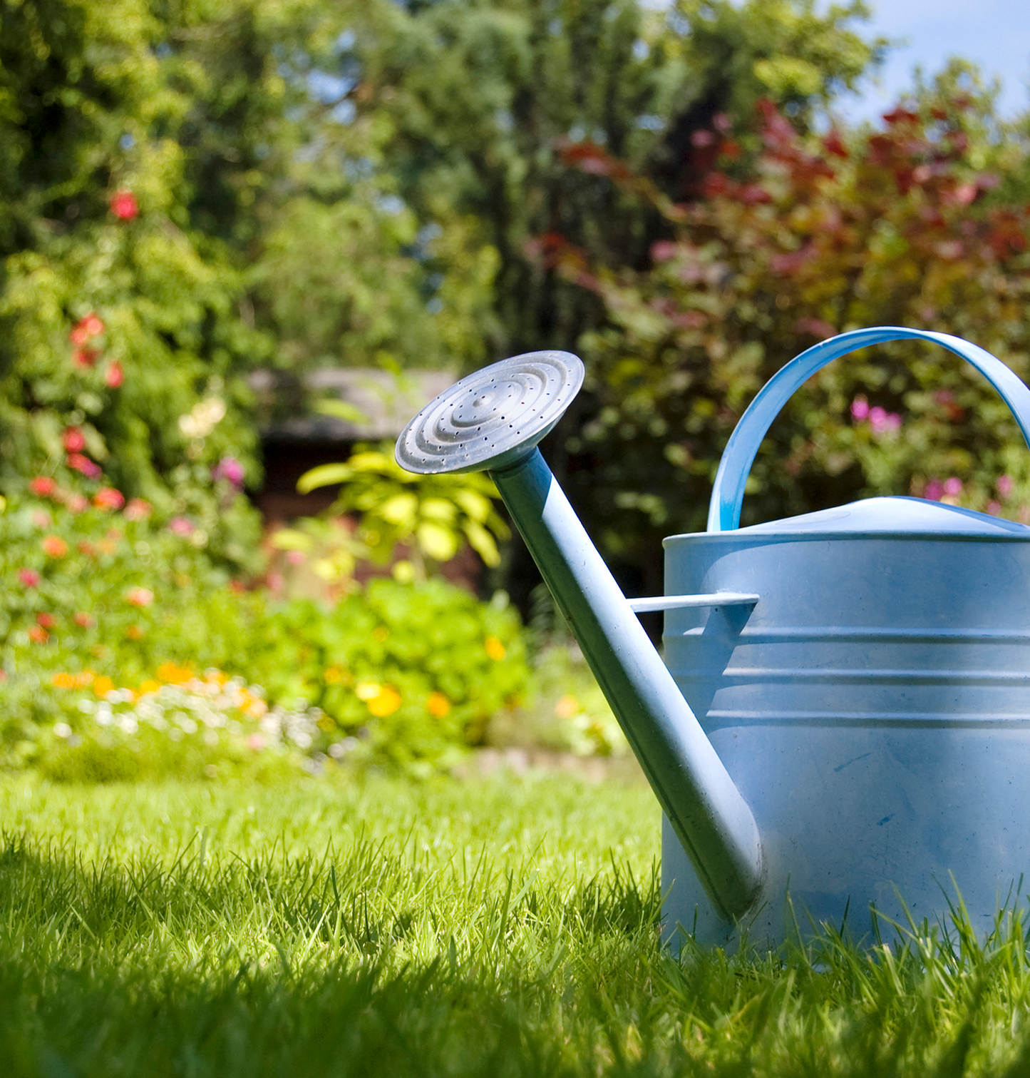 Peat Free All Purpose Compost - 50 Ltr Bag