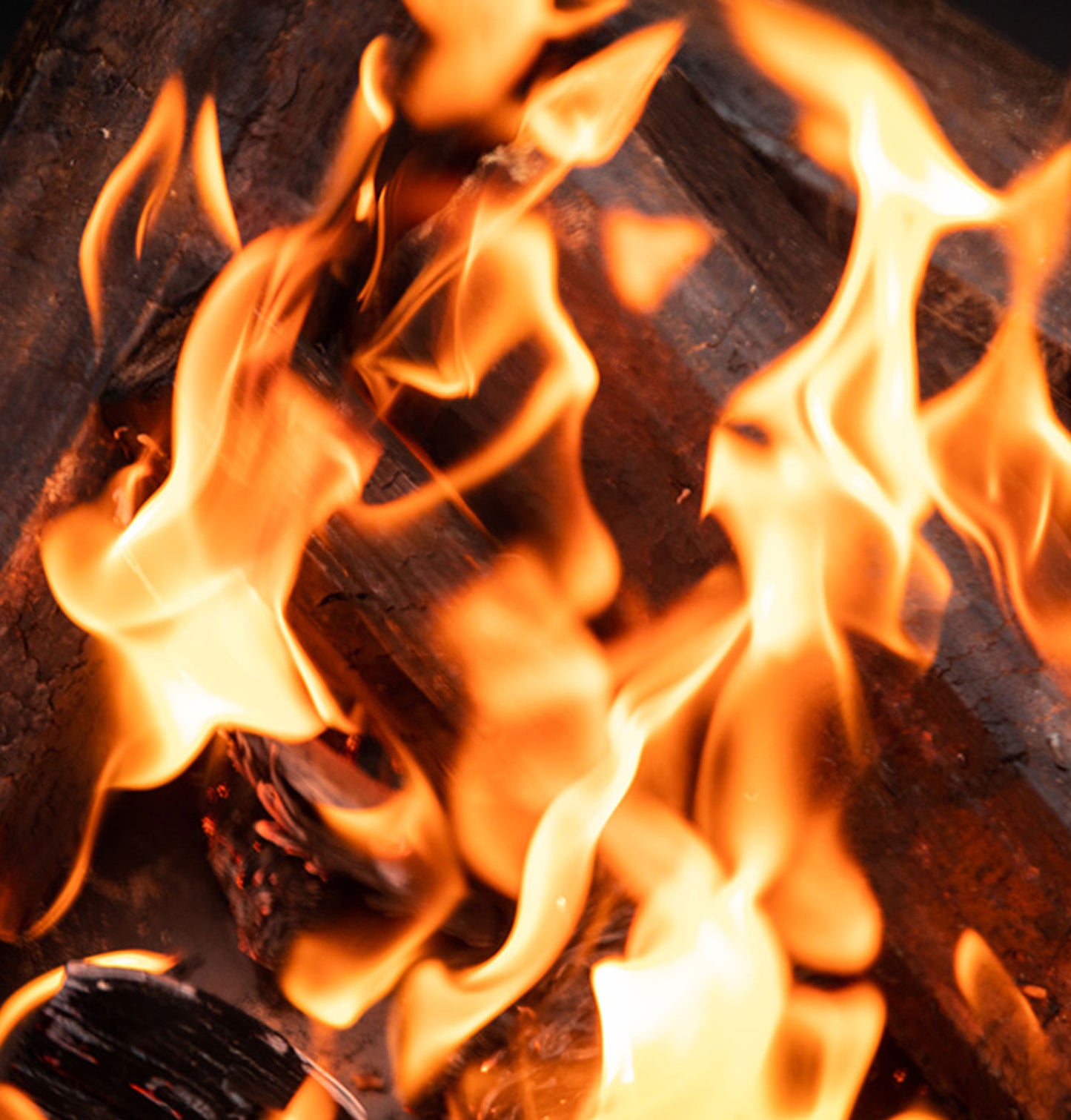 Homefire Heat Logs (shimada)