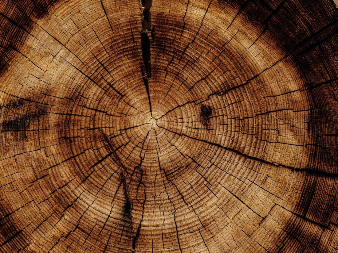 What is Green Wood & Should You Avoid It