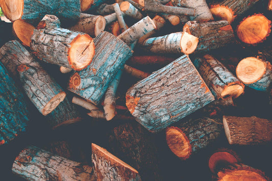 The Importance of Firewood Moisture Content