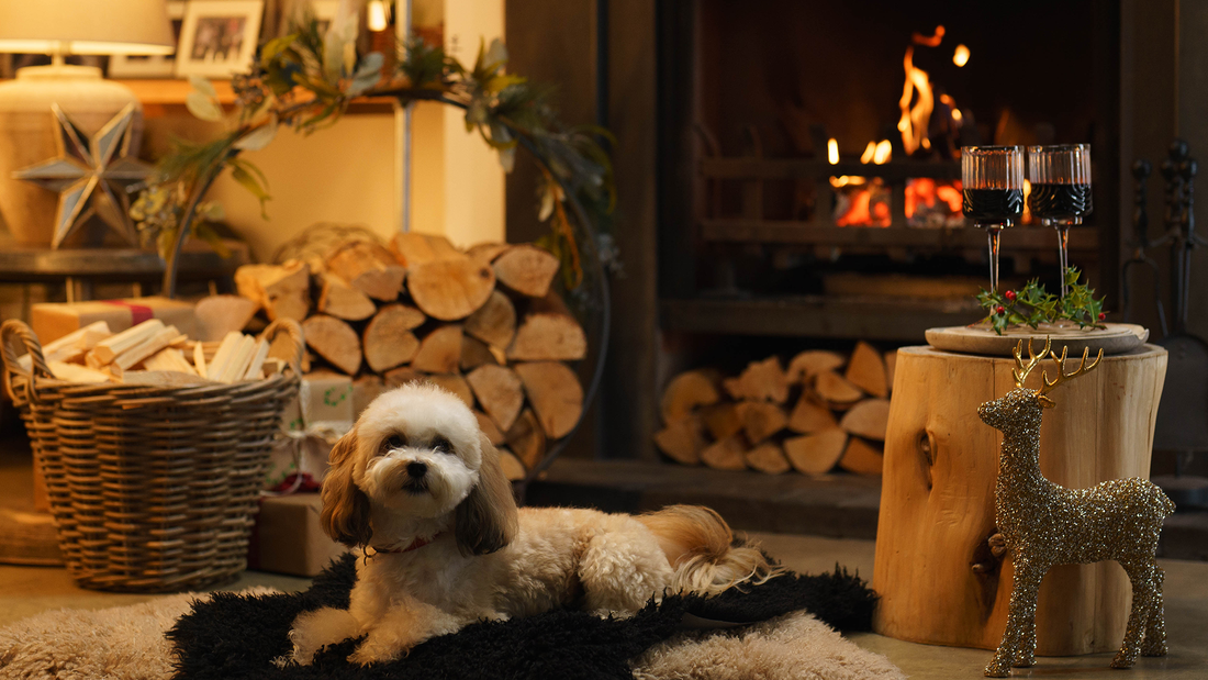 Unwrap Homefire Christmas Fuel Bundles. Dog sitting comfortably and warm in front of the fire. Kiln-dried logs stacked to the left, mulled wine and Christmas ornaments to the right.