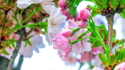 Get Garden Ready This April: Top Tips for Spring Landscaping & Outdoor Prep