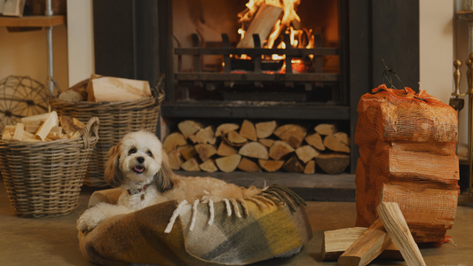 Switching from winter to spring heating: What you need to know. Dog smiling in front of fire, surrounded by Homefire kiln-dried firewood