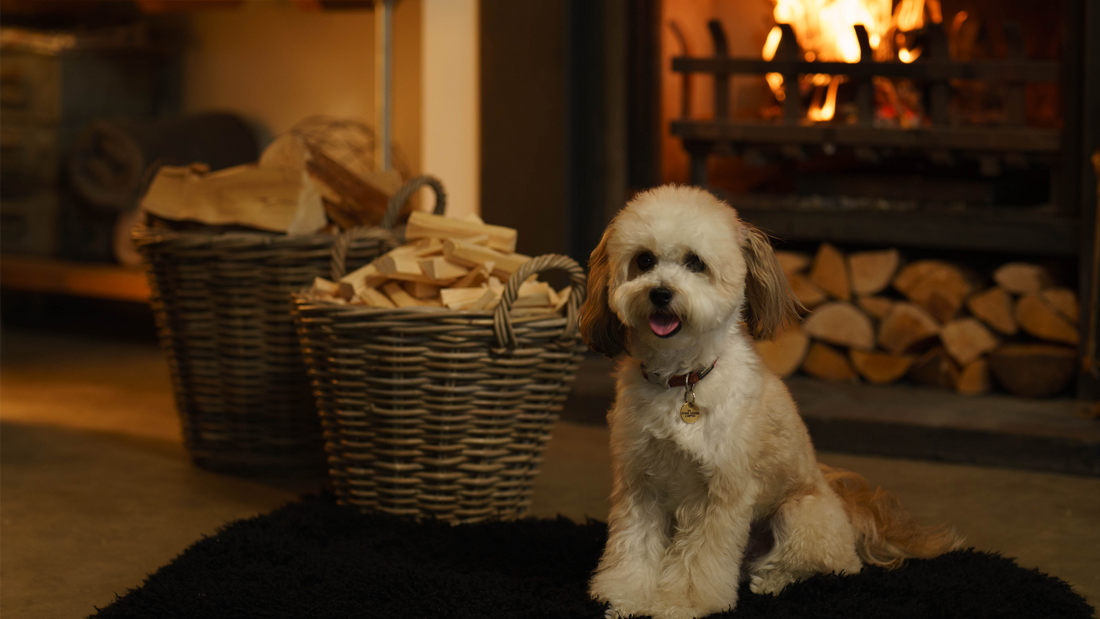 Homefire Kiln Dried Logs are the Ultimate Fuel this Winter