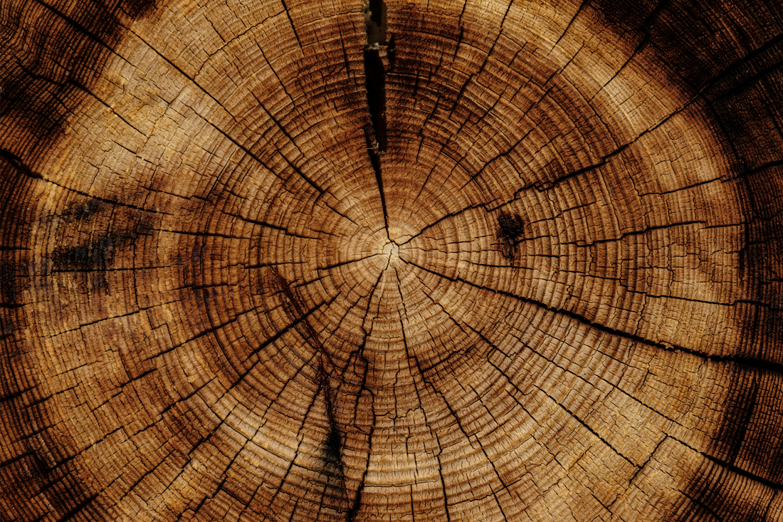 The true cost of burning wet wood