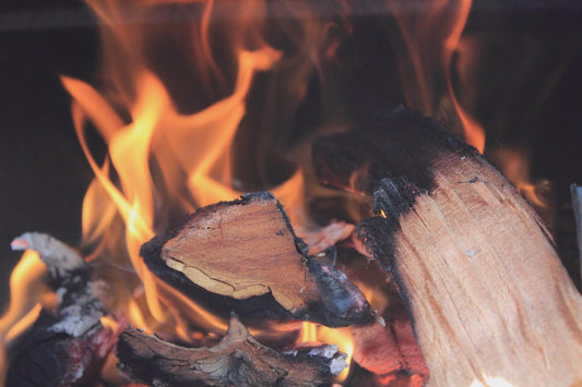 Five Things You Need to Know Before You Buy Firewood