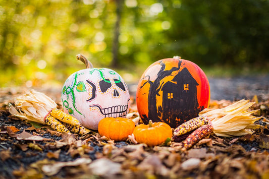 Ten Fun Family Halloween Ideas & Activities