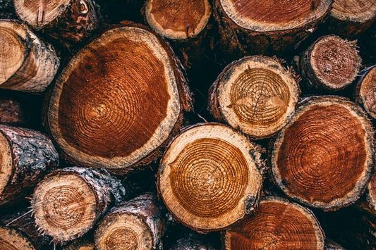 What is a Kiln, and How Does it Work?