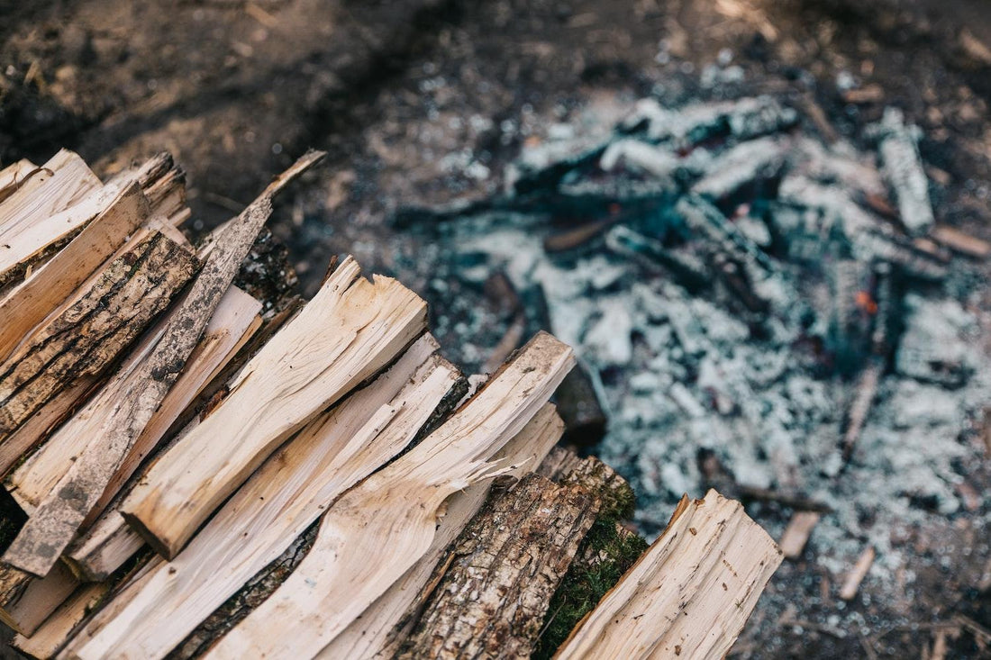 How Can Firewood be a Renewable Fuel Source?