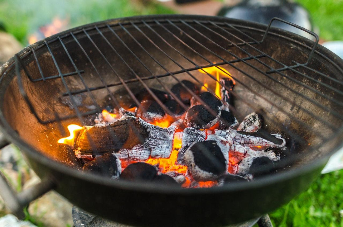 Choosing the Right BBQ Fuel: Wood or Charcoal?