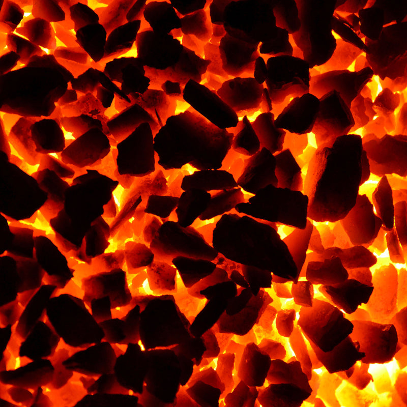 Anthracite Beans