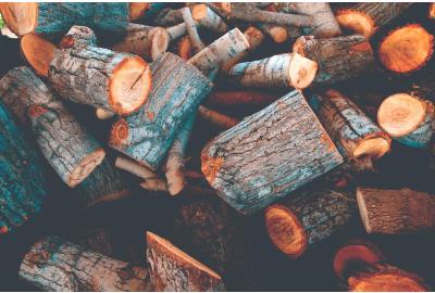 What is the best moisture content of logs for burning?