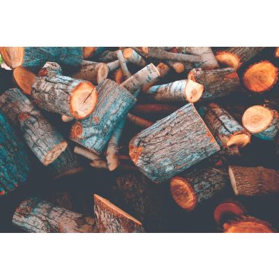 What is the best moisture content of logs for burning?