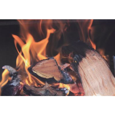 Five Things You Need to Know Before You Buy Firewood 