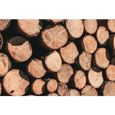 Wood Shelter: Our top tips for safely storing your firewood